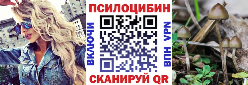 Галлюциногенные грибы GOLDEN TEACHER  Подольск 