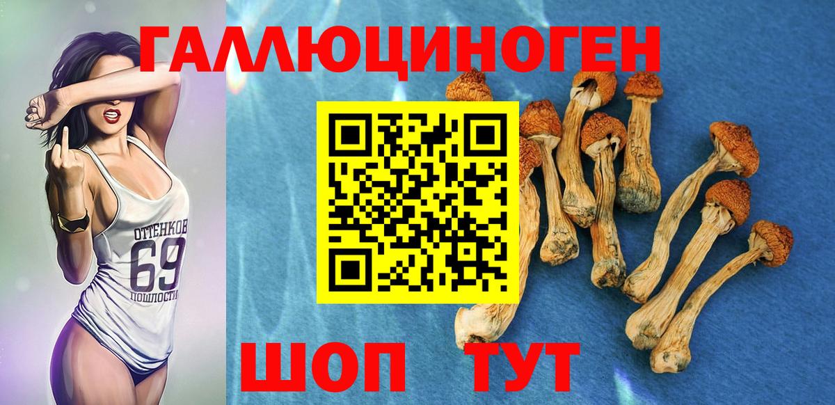 Псилоцибиновые грибы Psilocybe  Вход с VPN  Подольск 