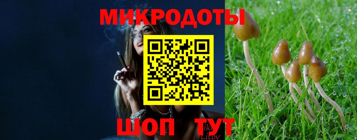 Галлюциногенные грибы Magic Shrooms Подольск